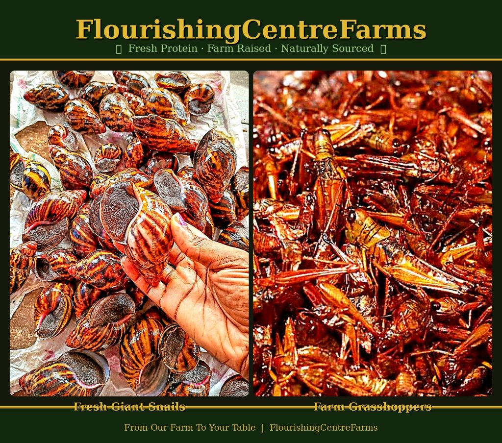 flourishingcentrefarms snailgrasshopper hd