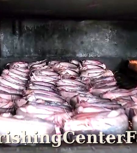 About flourishingcenterfarms fish hd