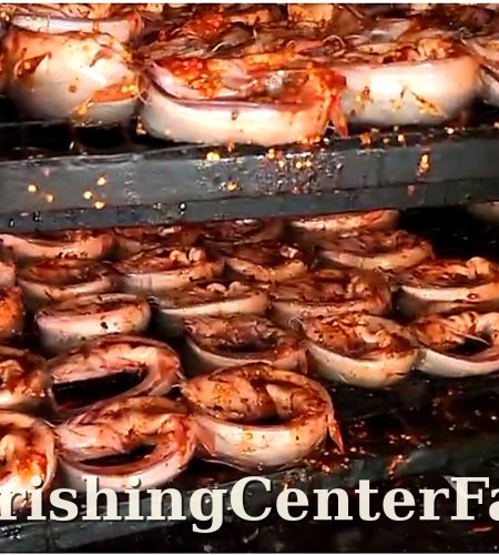 About flourishingcenterfarms shrimp hd