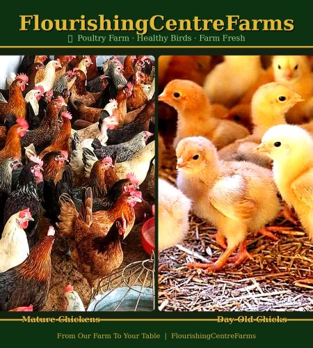 About flourishingcentrefarms poultry hd