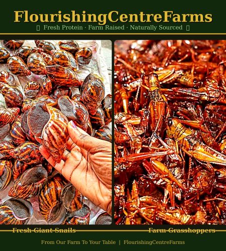 About flourishingcentrefarms snailgrasshopper hd