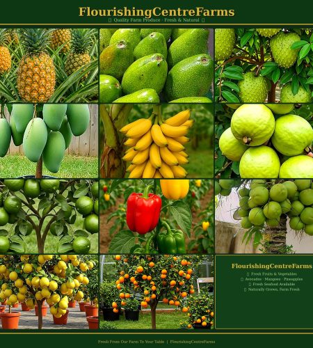 About flourishingcentrefarms vertical hd